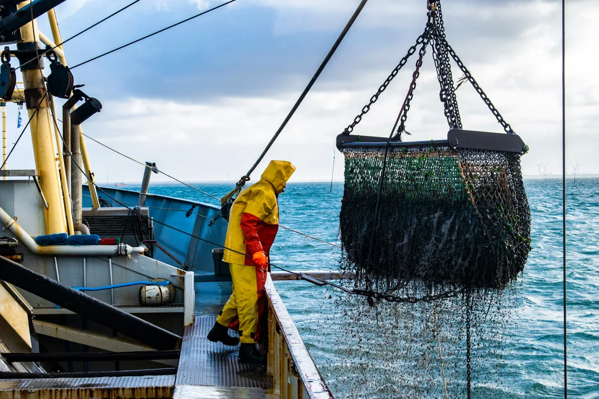 Aggiornamento formazione per dirigenti del settore Pesca. Sicurezza operativa e procedure di emergenza