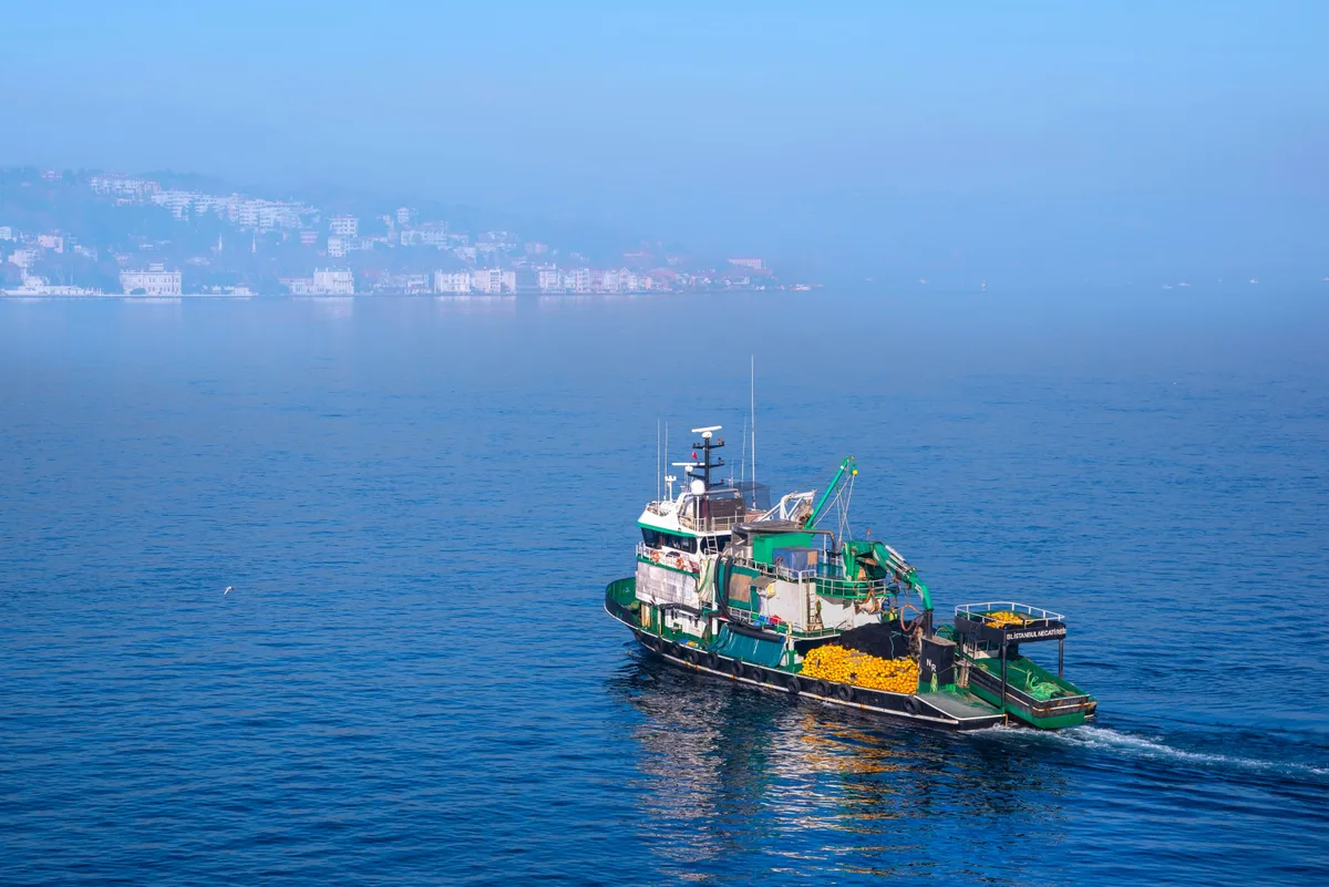 Aggiornamento formazione per lavoratori del settore PESCA. Sicurezza operativa e procedure di emergenza.