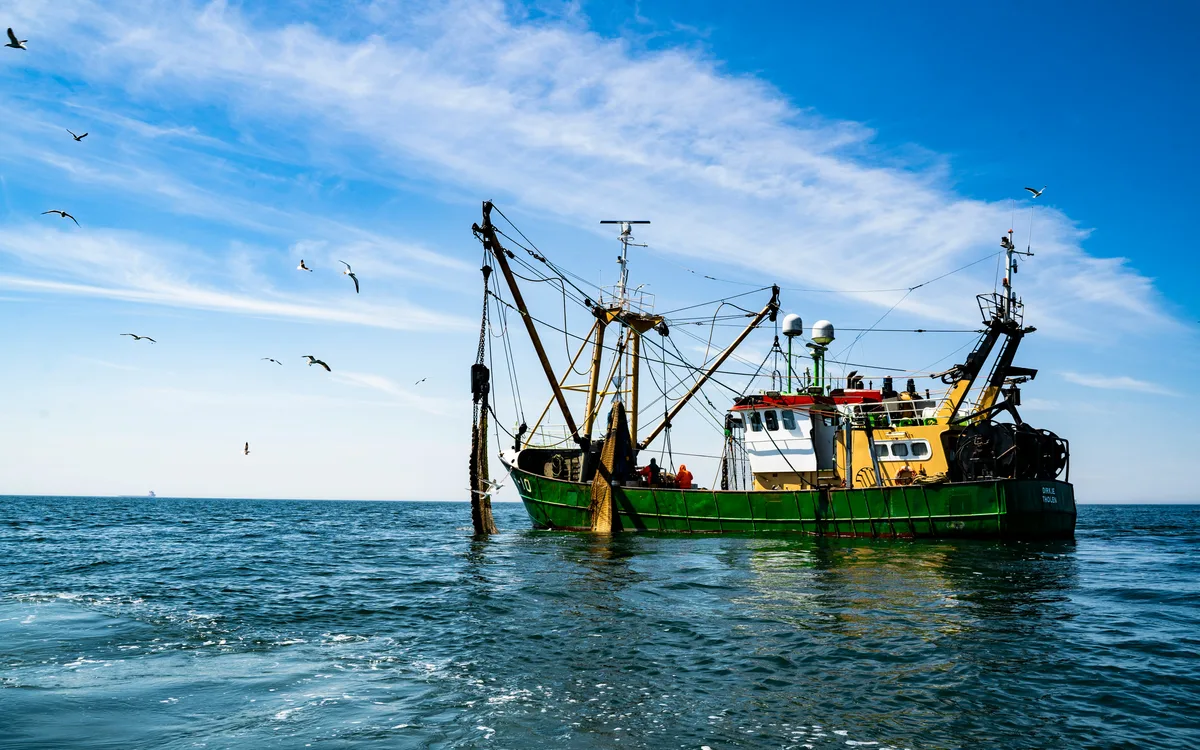 Aggiornamento formazione per datori di lavoro del settore Pesca. Sicurezza operativa e procedure di emergenza.